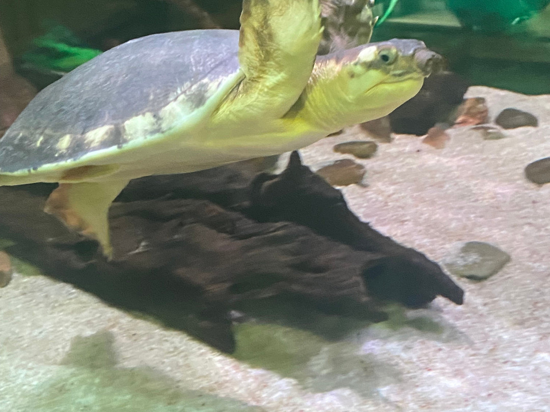 Ballarat Wildlife Park-巴拉瑞特必去景点