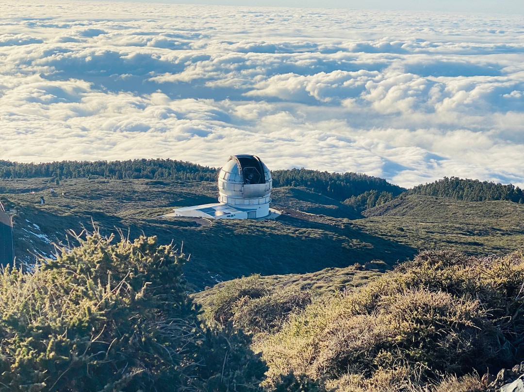 Vidyamor Yoga Retreats Canary Islands景点图片