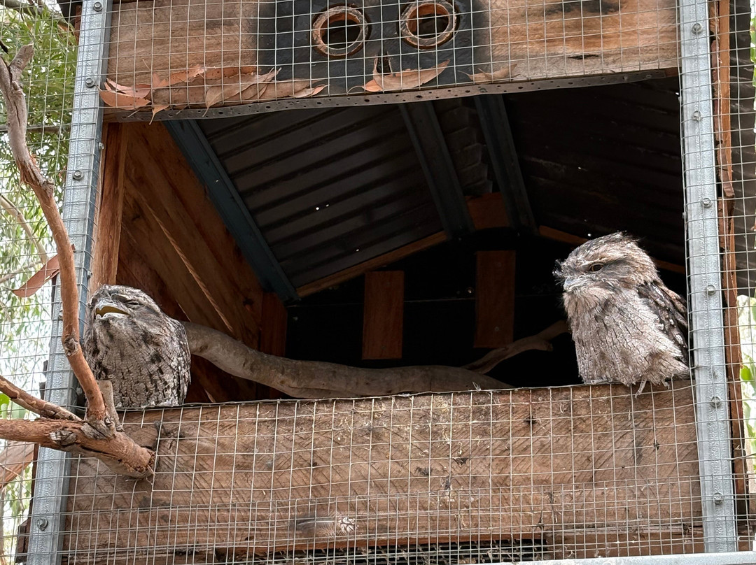 Softfoot Farm & Wildlife Park景点图片