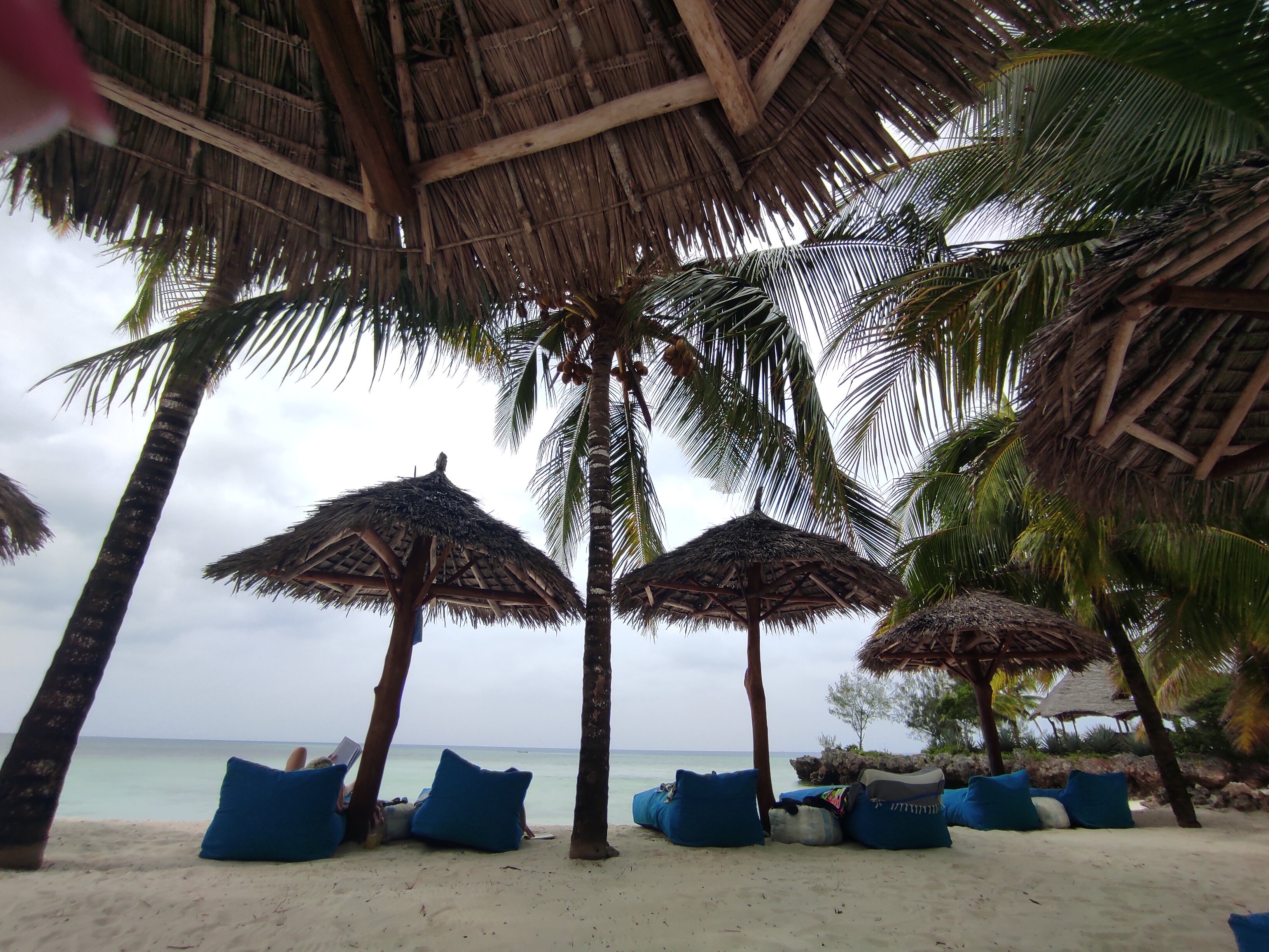 Fruit & Spice Wellness Resort Zanzibar-泳池