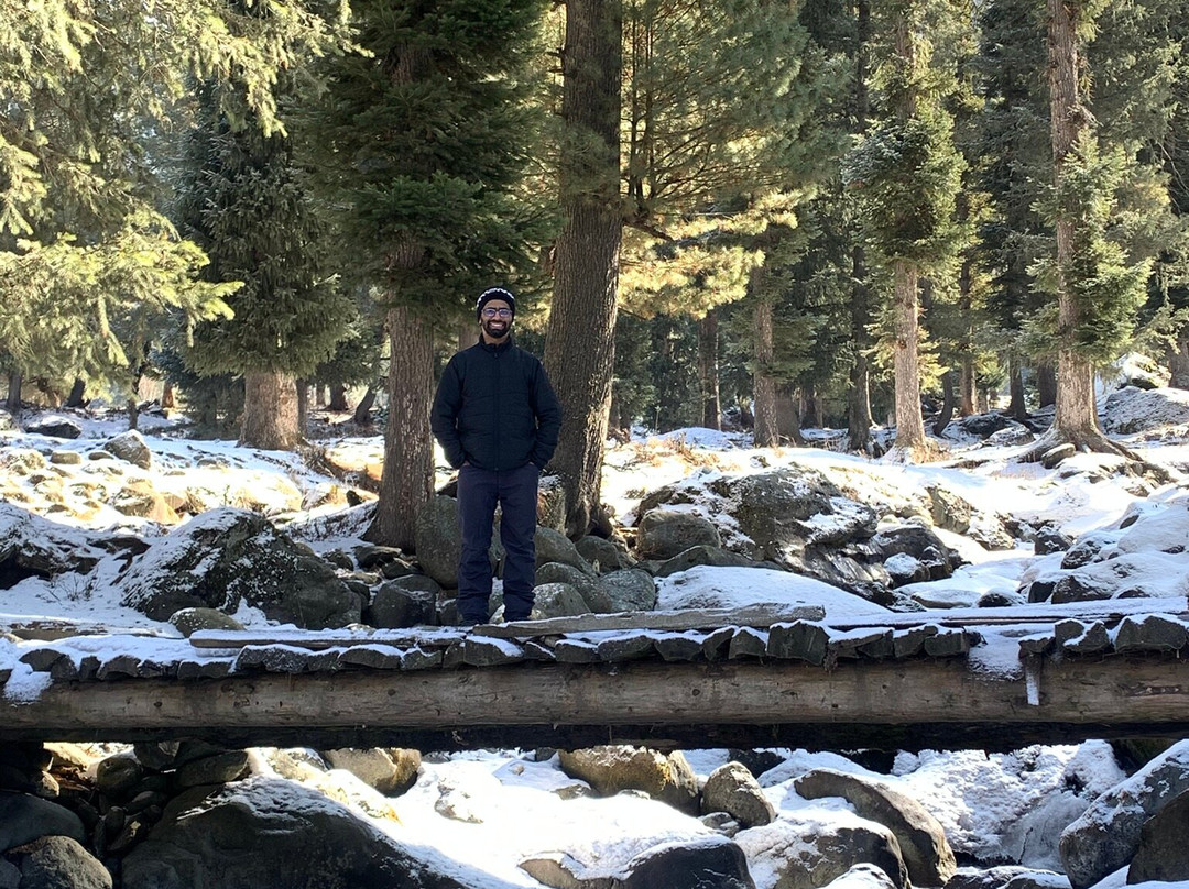 The Woodswalk Treks And Tours景点图片