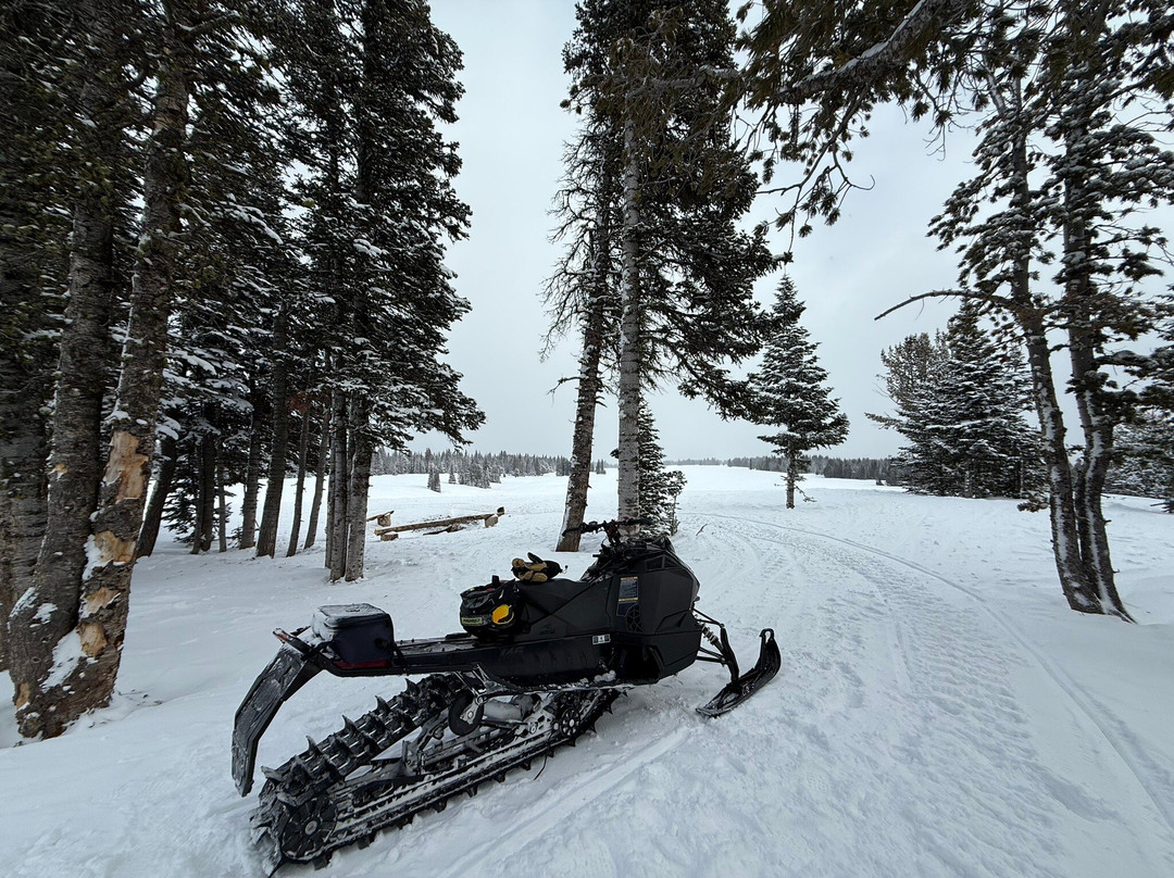 Canyon Adventures Snowmobile Tours-大斯凯必去景点