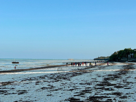 Pili Pili Uhuru Beach Resort