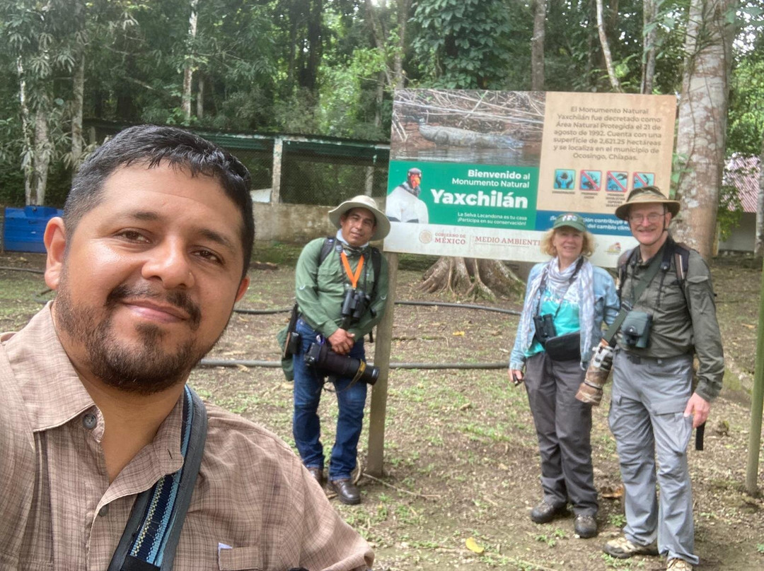 Amar Aves: Birdwatching and Mayan culture-图伦必去景点