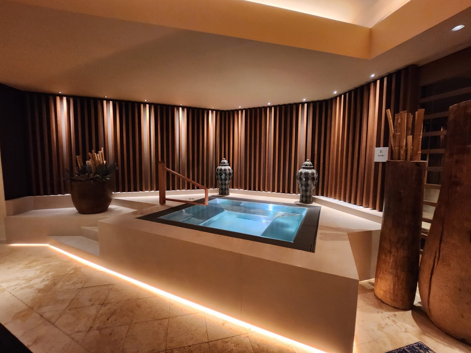 Le Parc Hôtel Obernai & Yonaguni Spa-泳池
