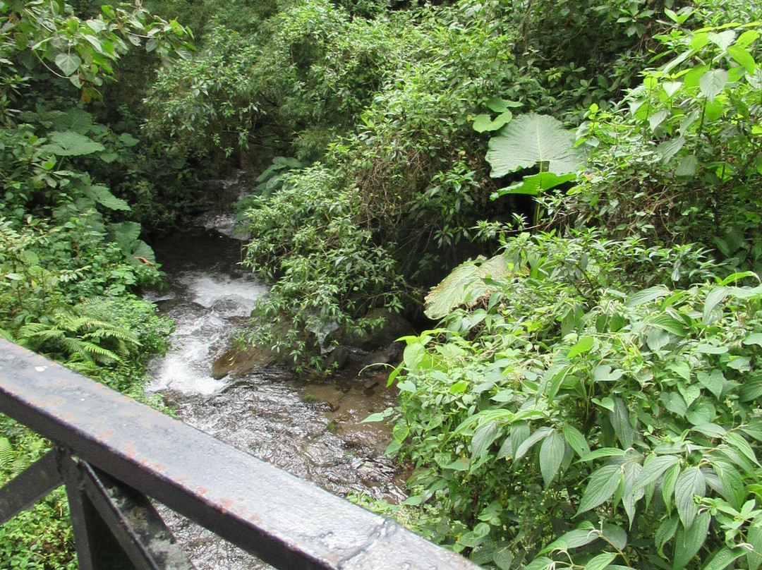 Pipeline Trail景点图片
