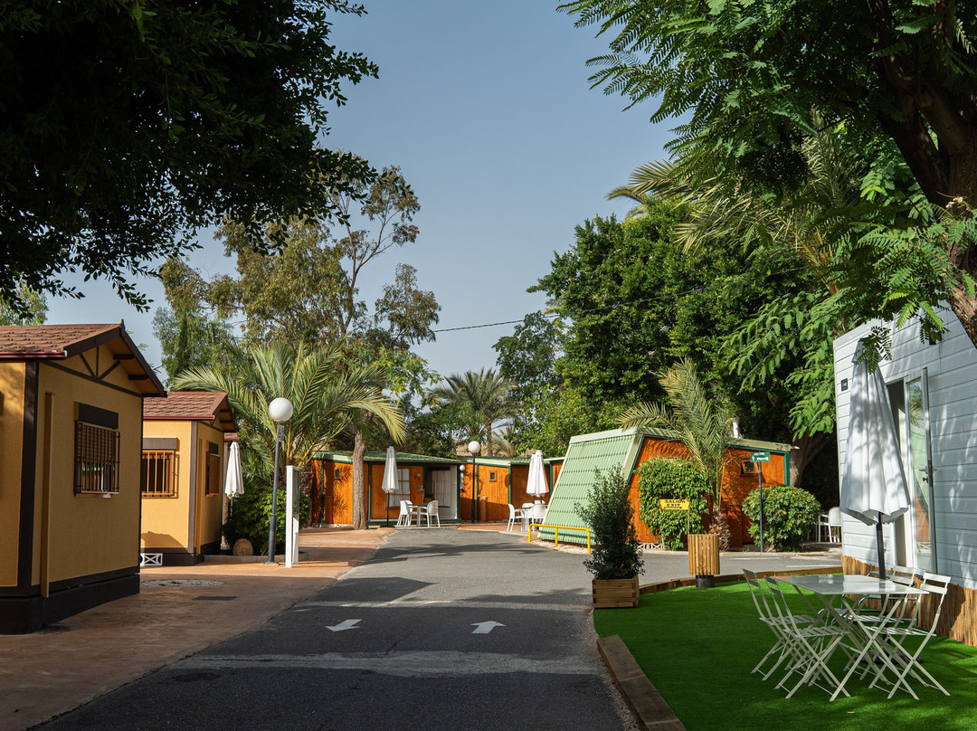 Las Palmeras Camping Crevillente