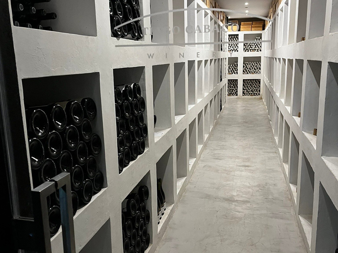 Tiago Cabaço Winery景点图片