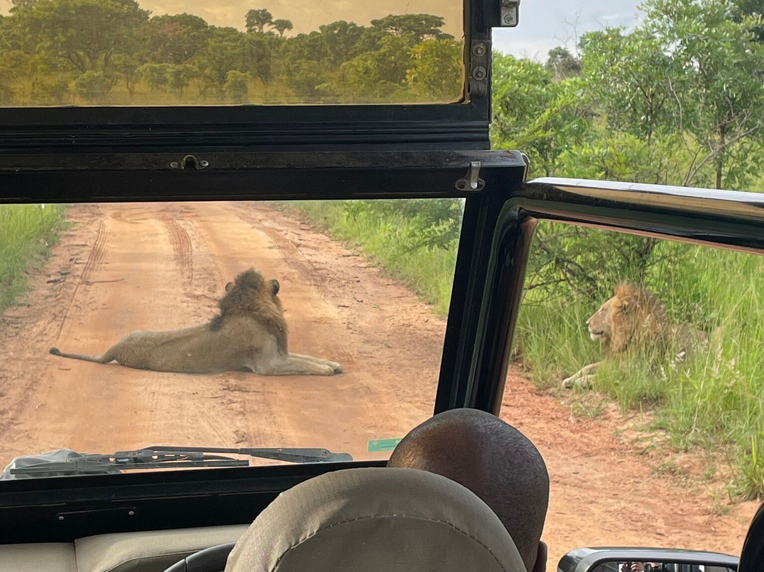 Leap Adventures - Hazyview Cabanas-雾观必去景点