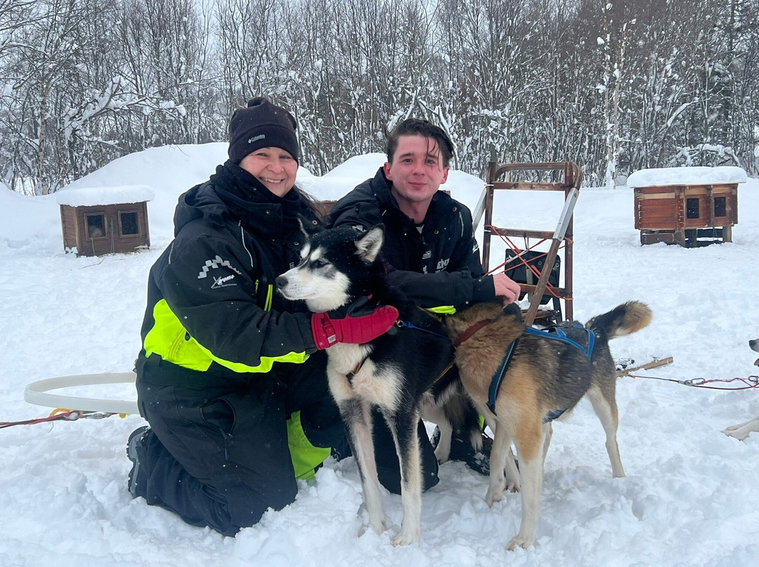 Senja Husky Adventure景点图片