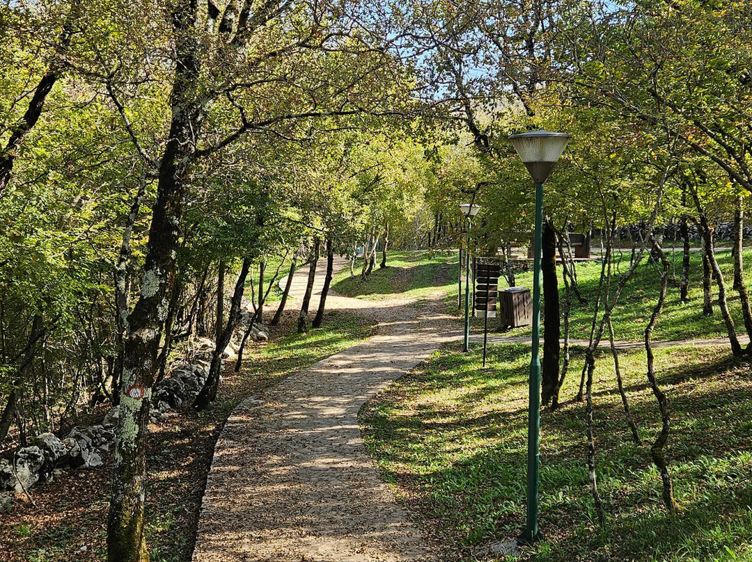 Park Goranci景点图片
