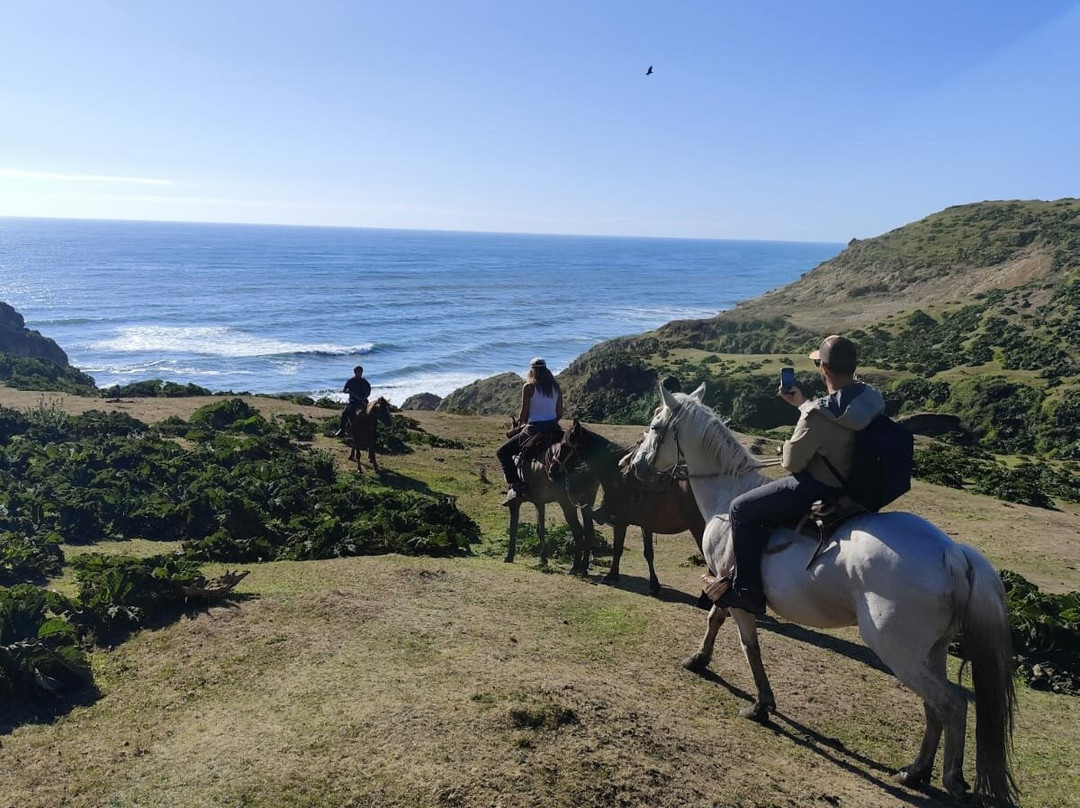 Tour A Caballo Por Cucao-Chonchi必去景点