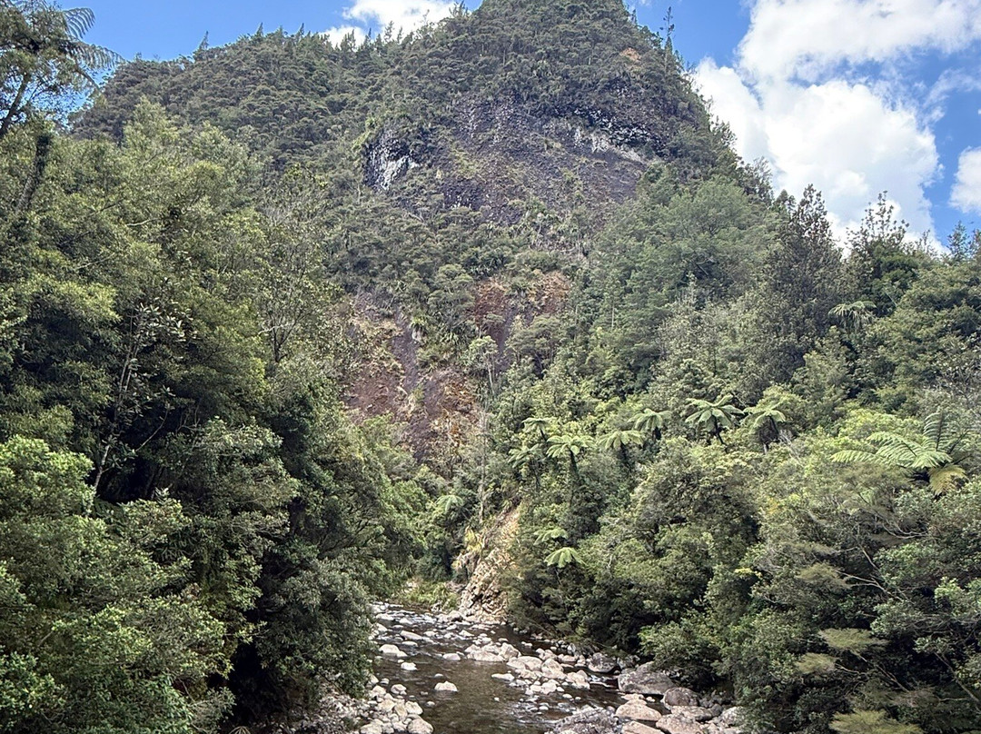 Nature & Nosh Tours景点图片