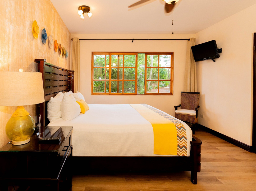 Buena Vista Chic Hotel主图