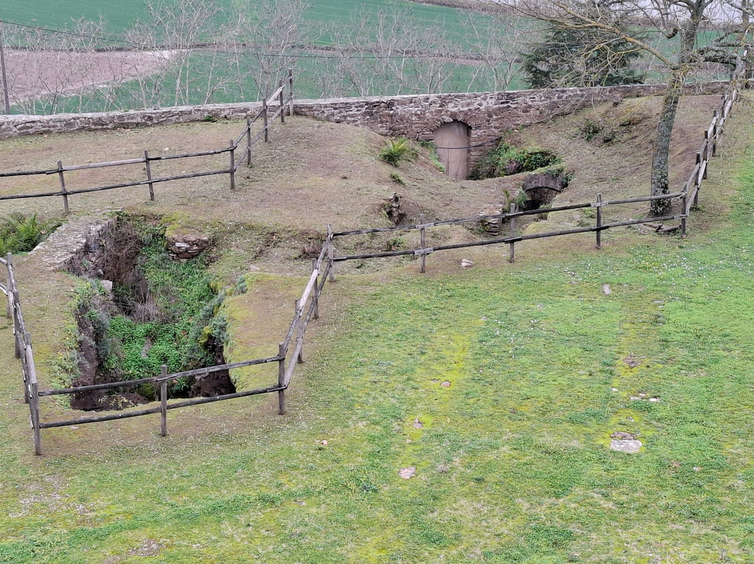 Castelo de Abrantes景点图片