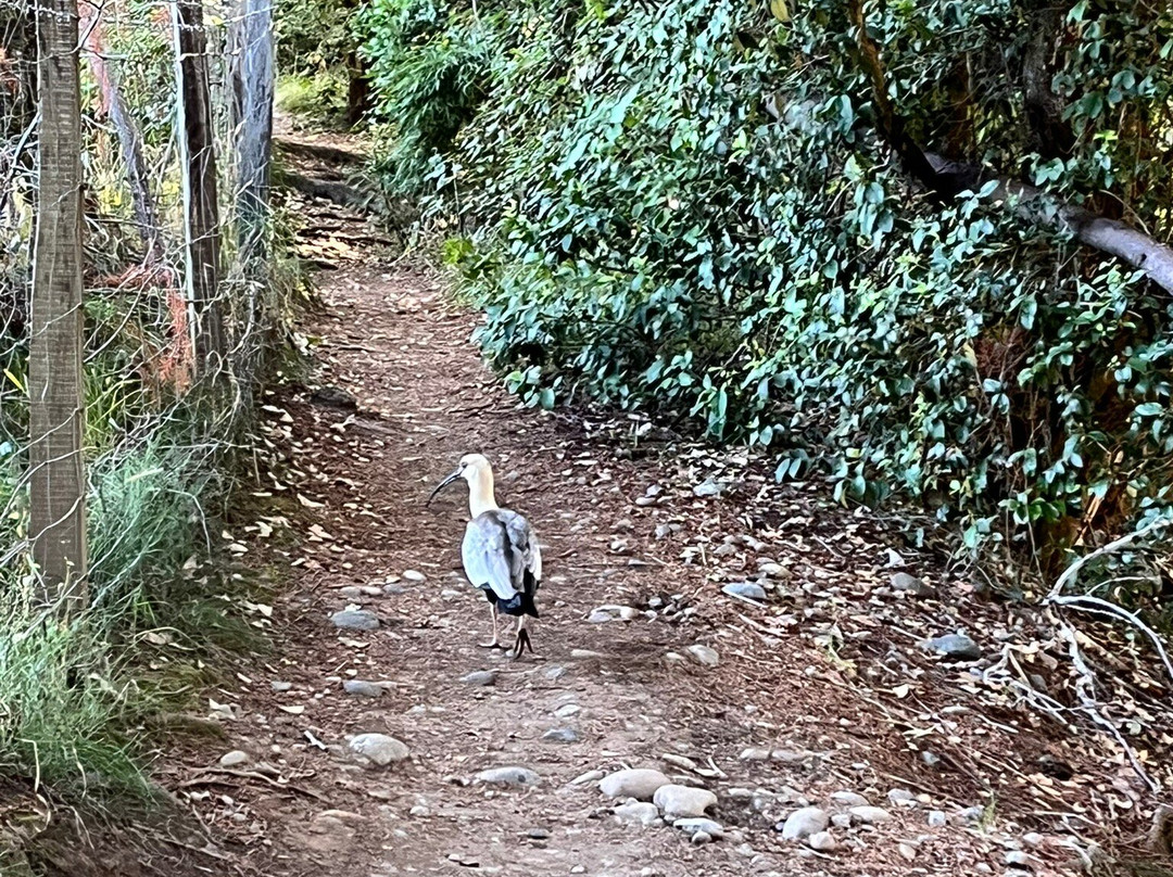 ELEMENTOS Eco Lodge主图