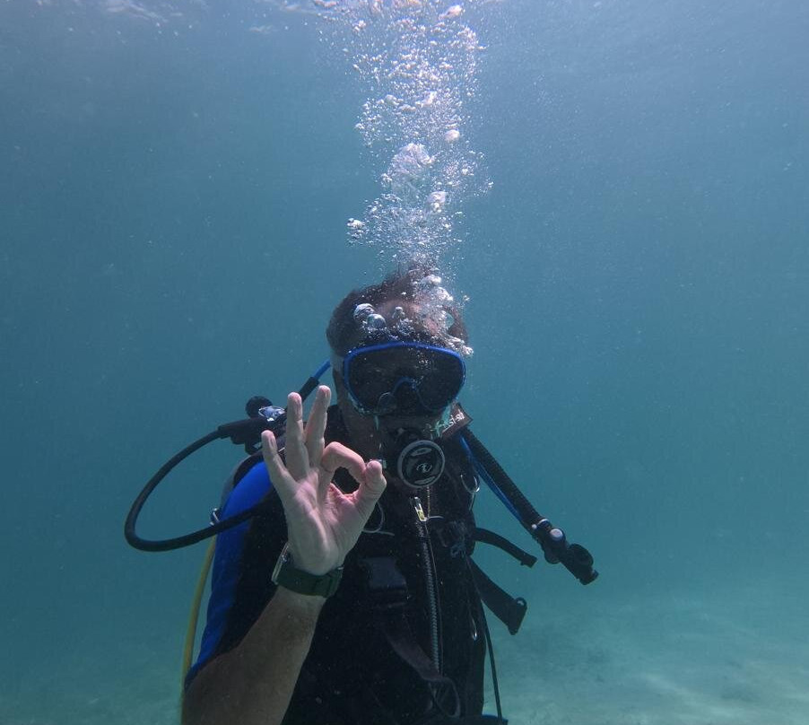 Bocas Pirates Dive Center景点图片