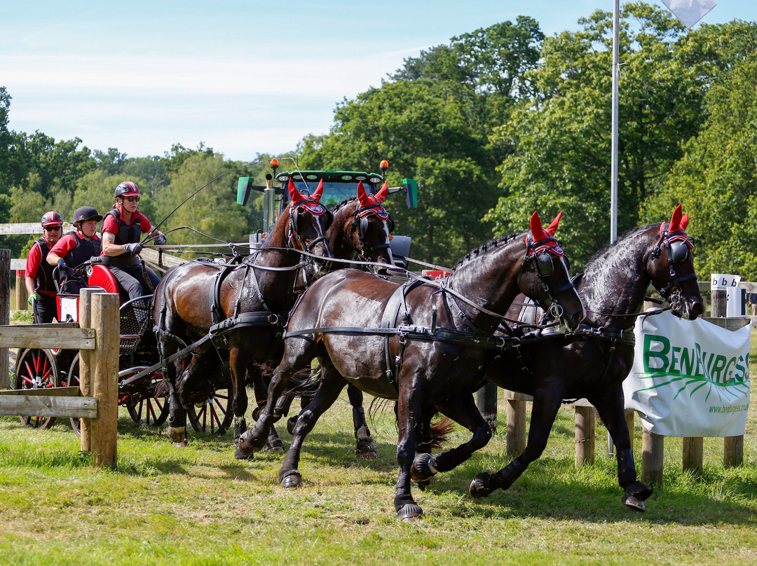 Sandringham Festival Of Carriage Driving 2025景点图片