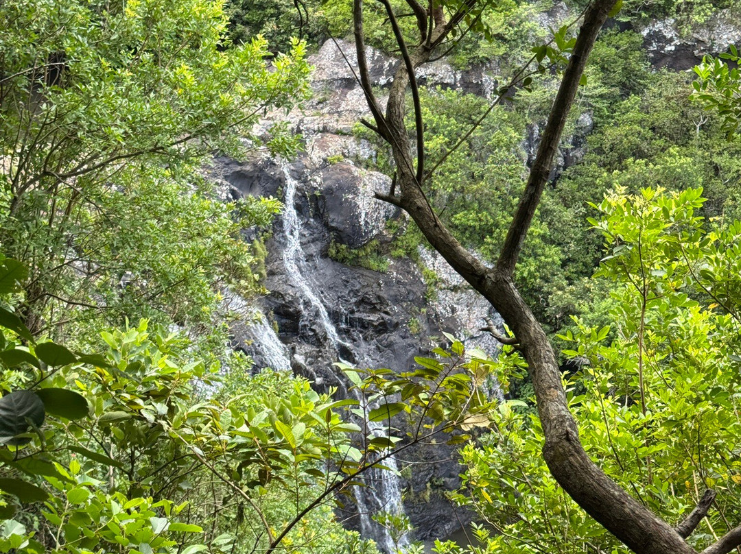 Manish Hikes-Henrietta必去景点