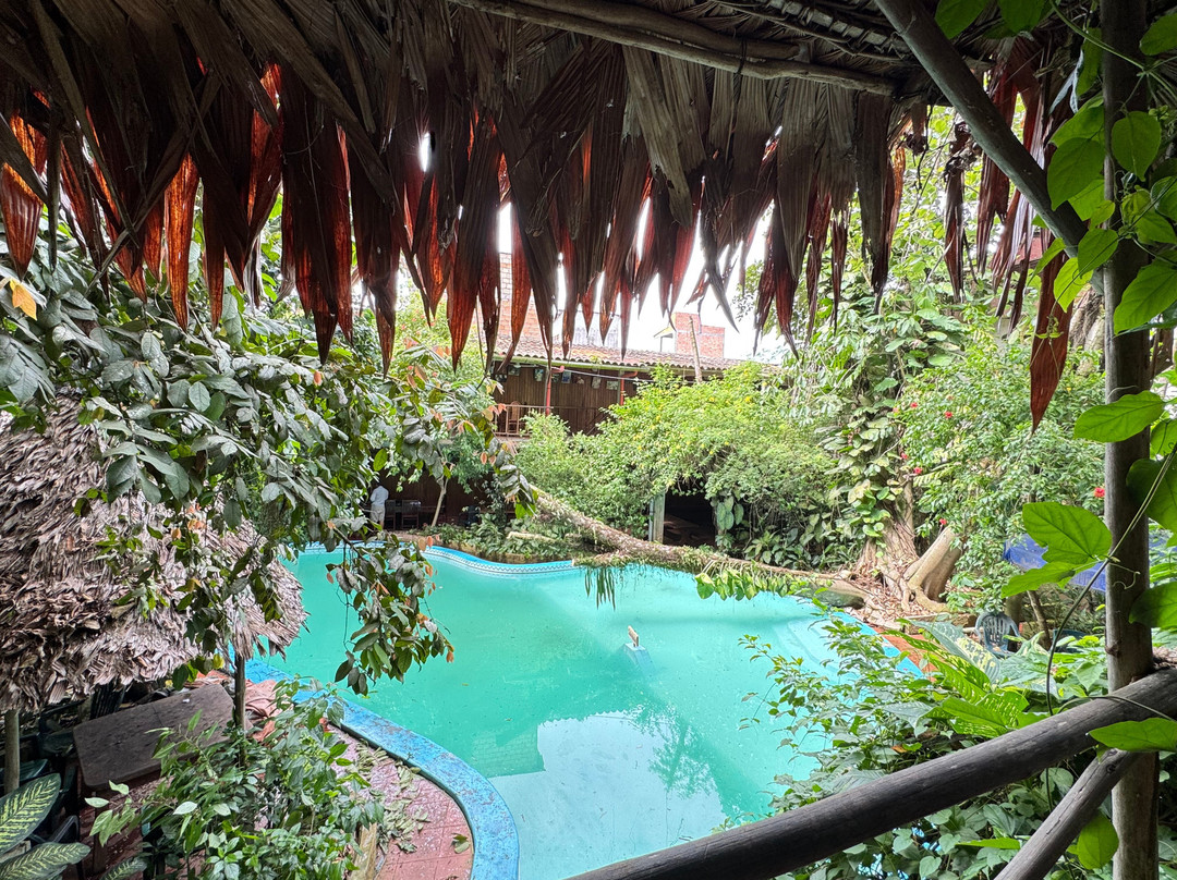 La Casa Fitzcarraldo主图