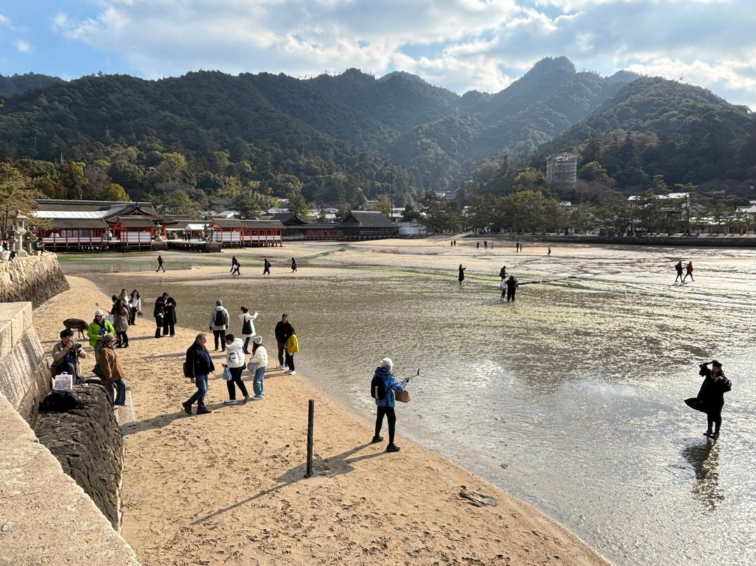 Mikasahama Beach-廿日市市必去景点