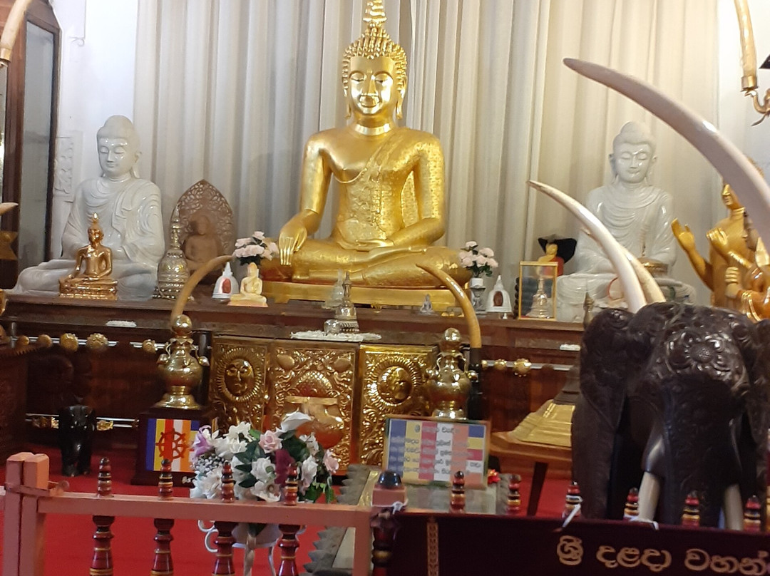 One Lanka Tours景点图片