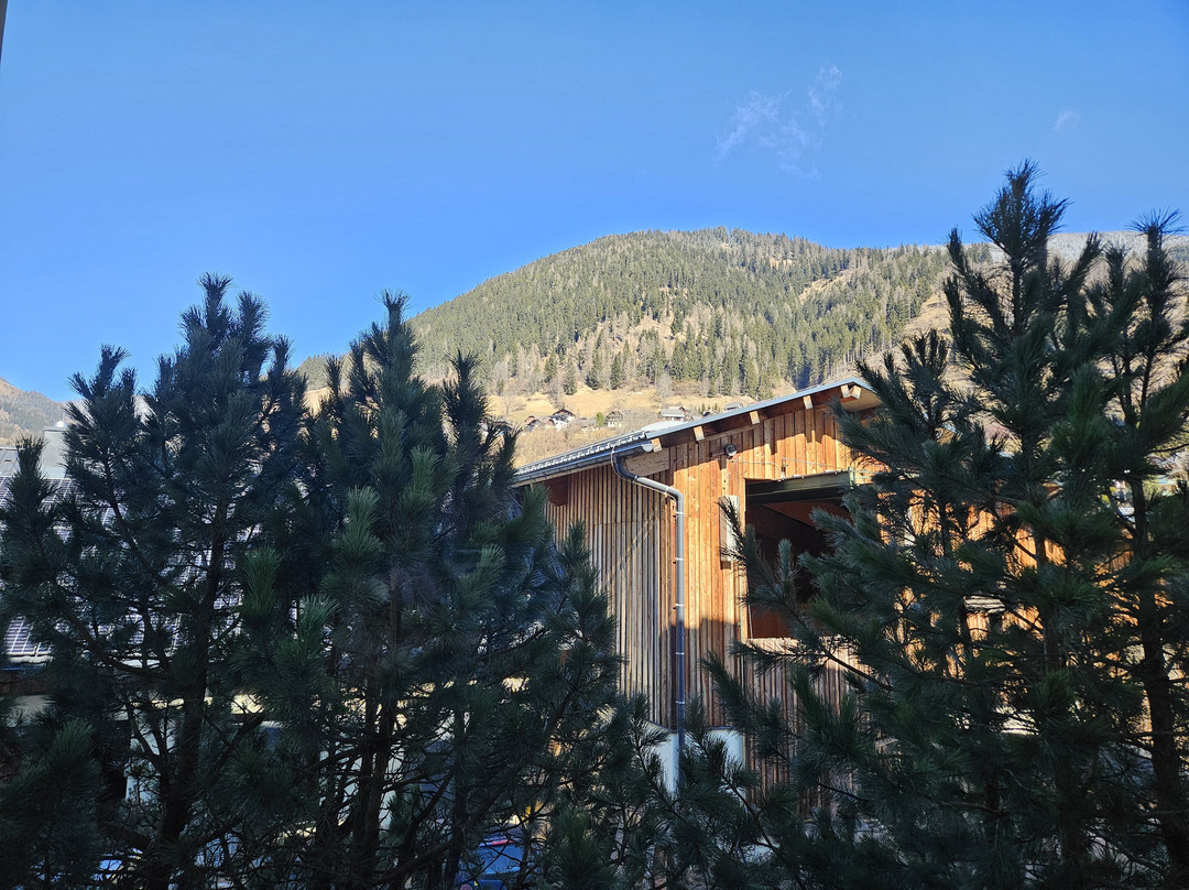 Hotel Kärntnerhof主图