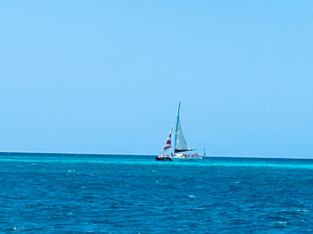 Blue Bay Bonaire-Kralendijk必去景点