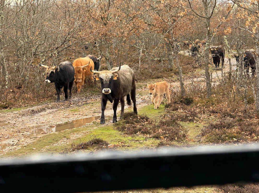 Paleolitico Vivo-布尔戈斯省必去景点