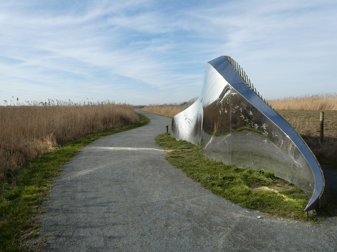RSPB Frampton Marsh景点图片