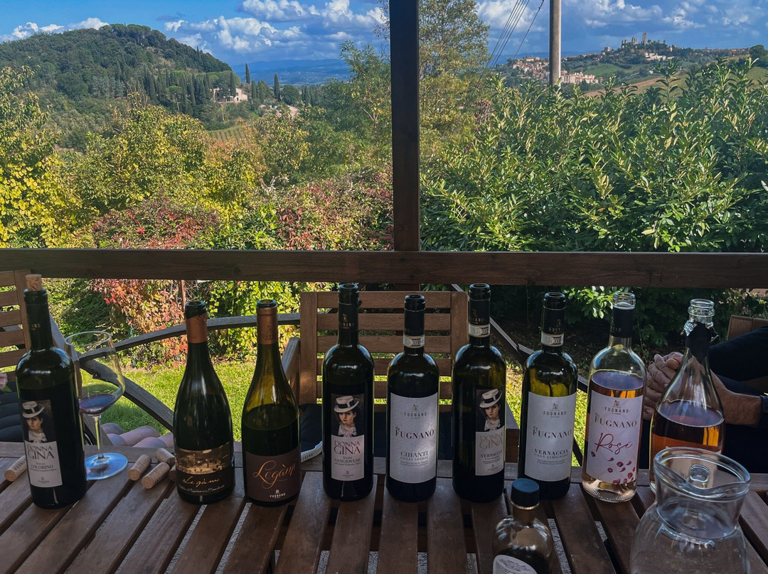 Fattoria di Fugnano景点图片