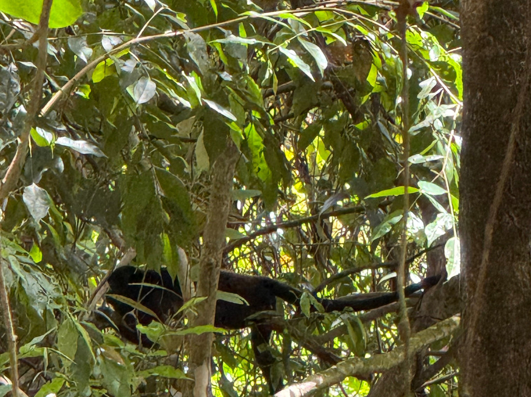 Premier Coiba Tours景点图片