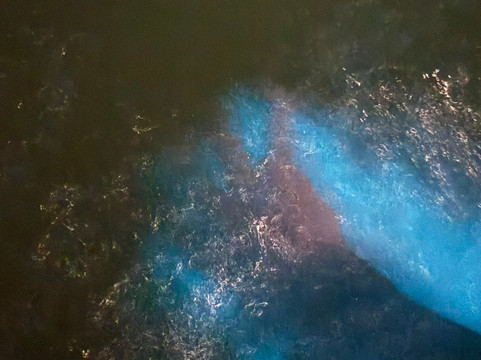 Aqua Sunset Tours-维切克岛必去景点