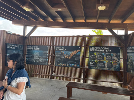 Coral Vita-弗里波特必去景点