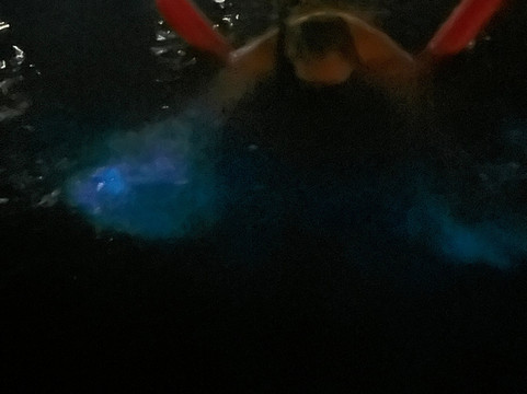 Cayman Style Charters-七哩滩必去景点