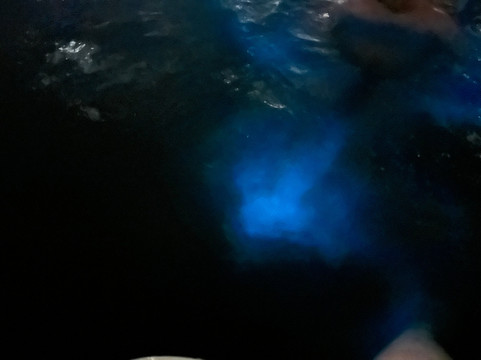 Cayman Style Charters-七哩滩必去景点