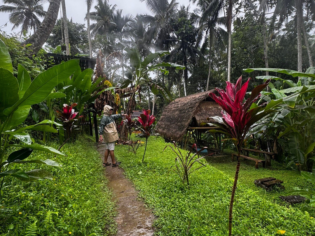 Authentic Walking Tours-乌布必去景点