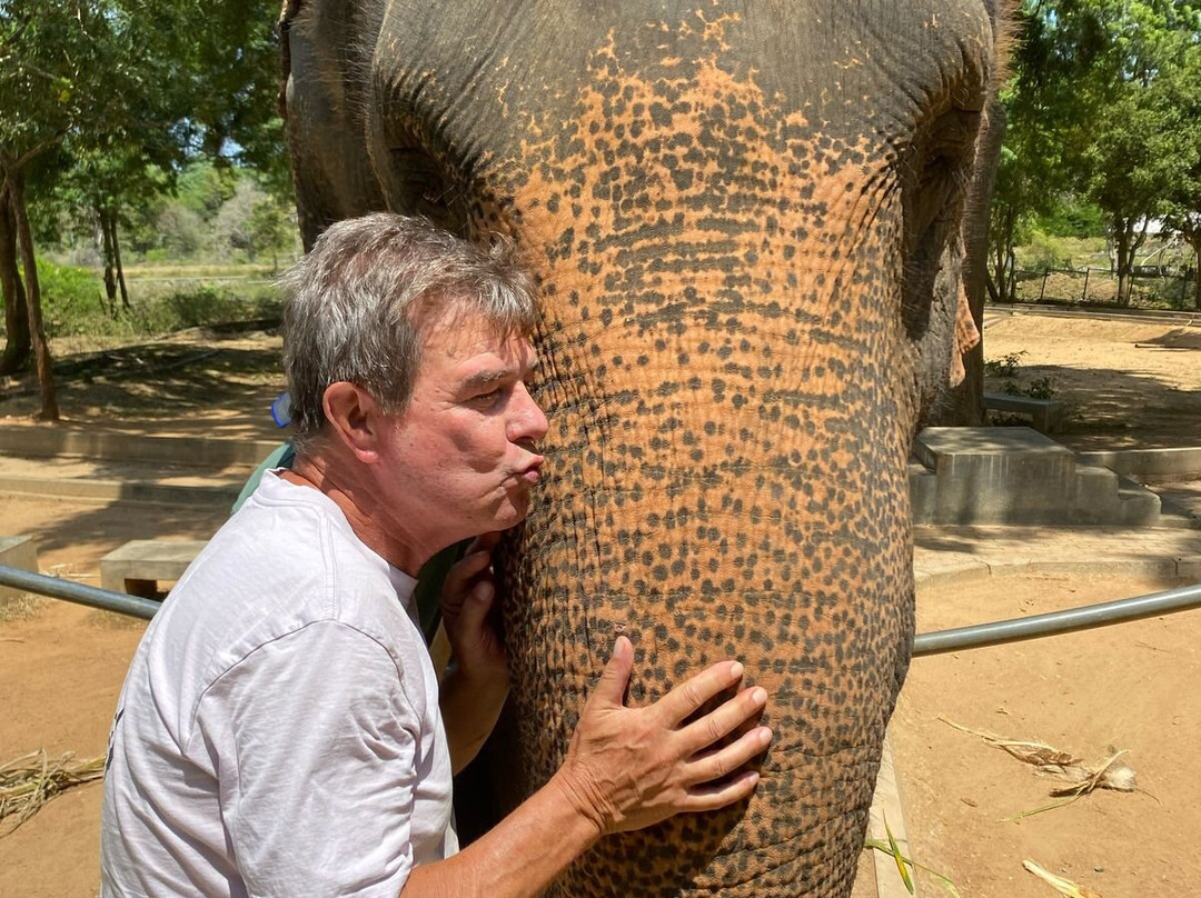 Mango Vacations-康提必去景点