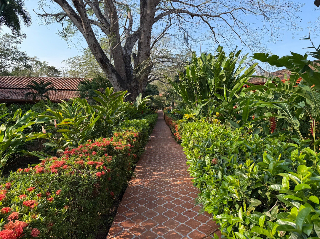 Guanacaste Traveler-Filadelfia必去景点