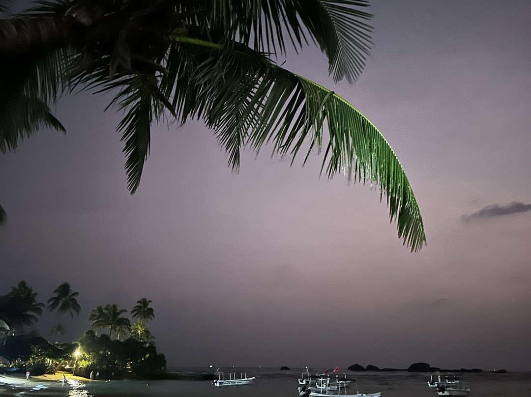 Amelia Tour-Dodanduwa必去景点