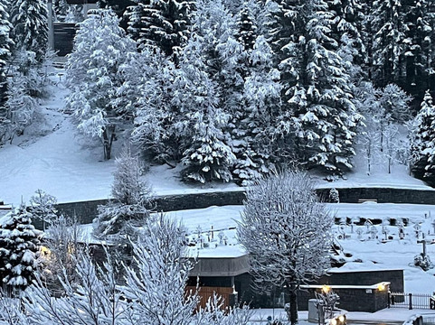 Hotel Edelweiss Gerlos主图