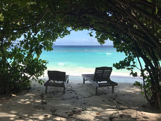 皇家岛度假村主图