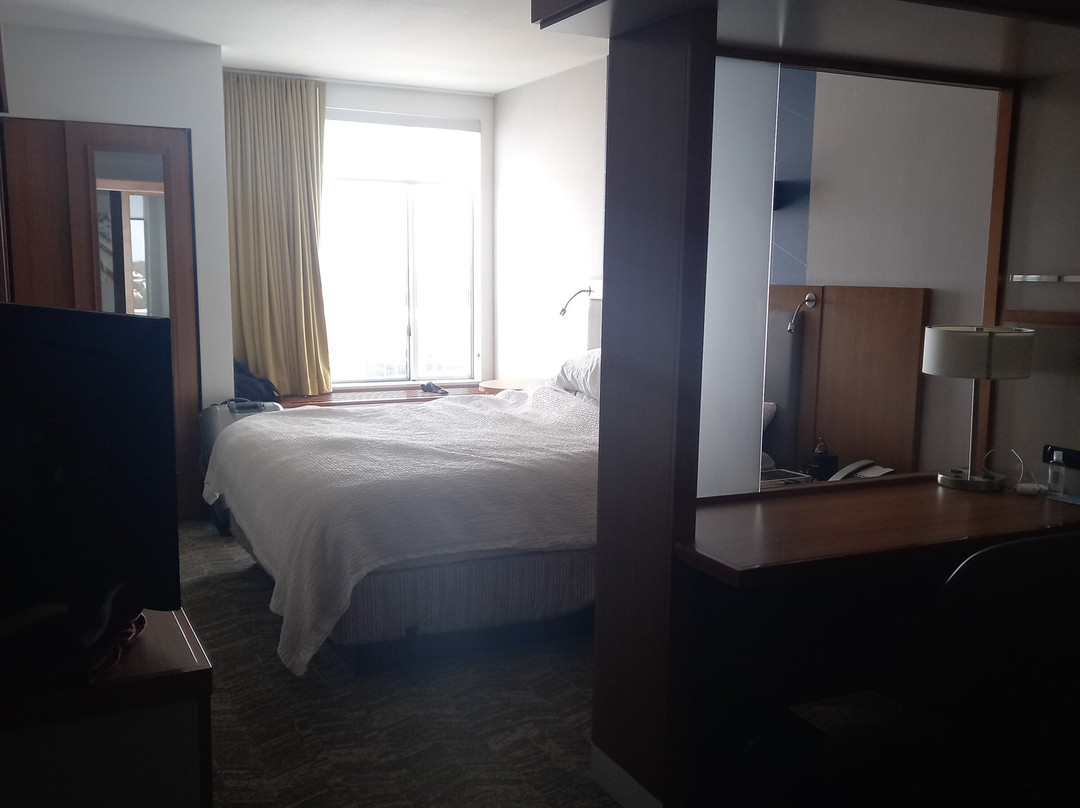 SpringHill Suites Kansas City Lenexa/City Center主图