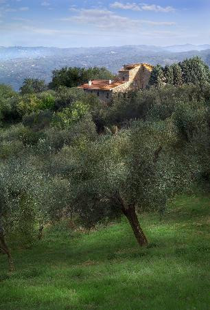 B&B Il Giardino di Jonah主图