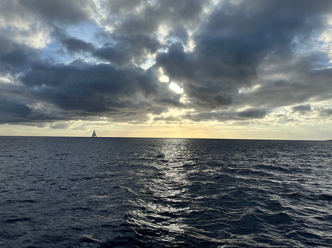 O'side Whales-欧申赛德必去景点