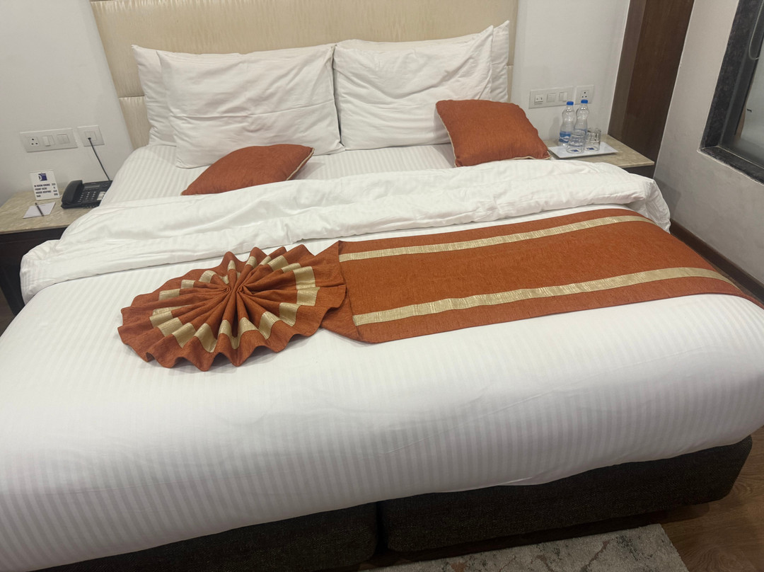 JK Clarks Exotica Dalhousie主图