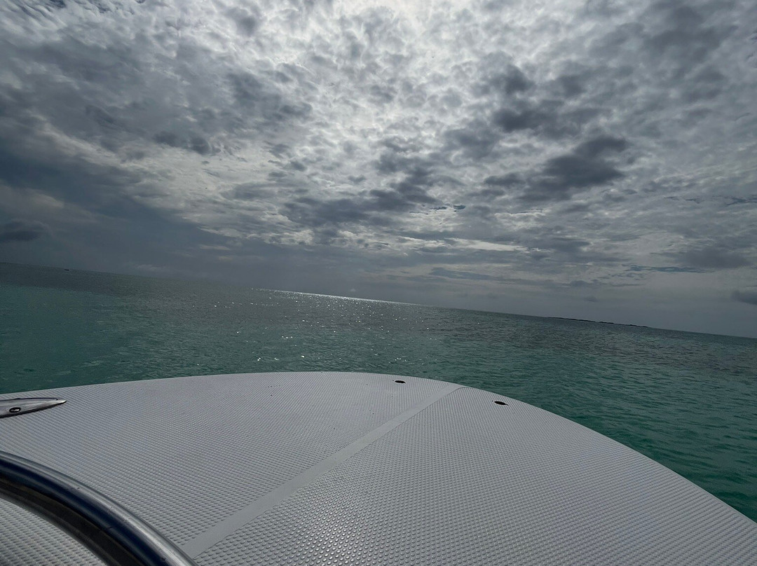 Posada Gremary主图