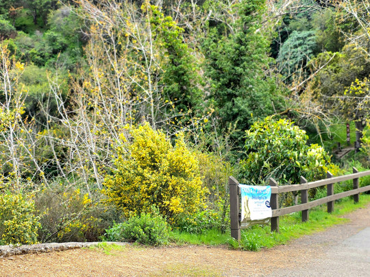 Temescal Regional Recreation Area-奥克兰必去景点