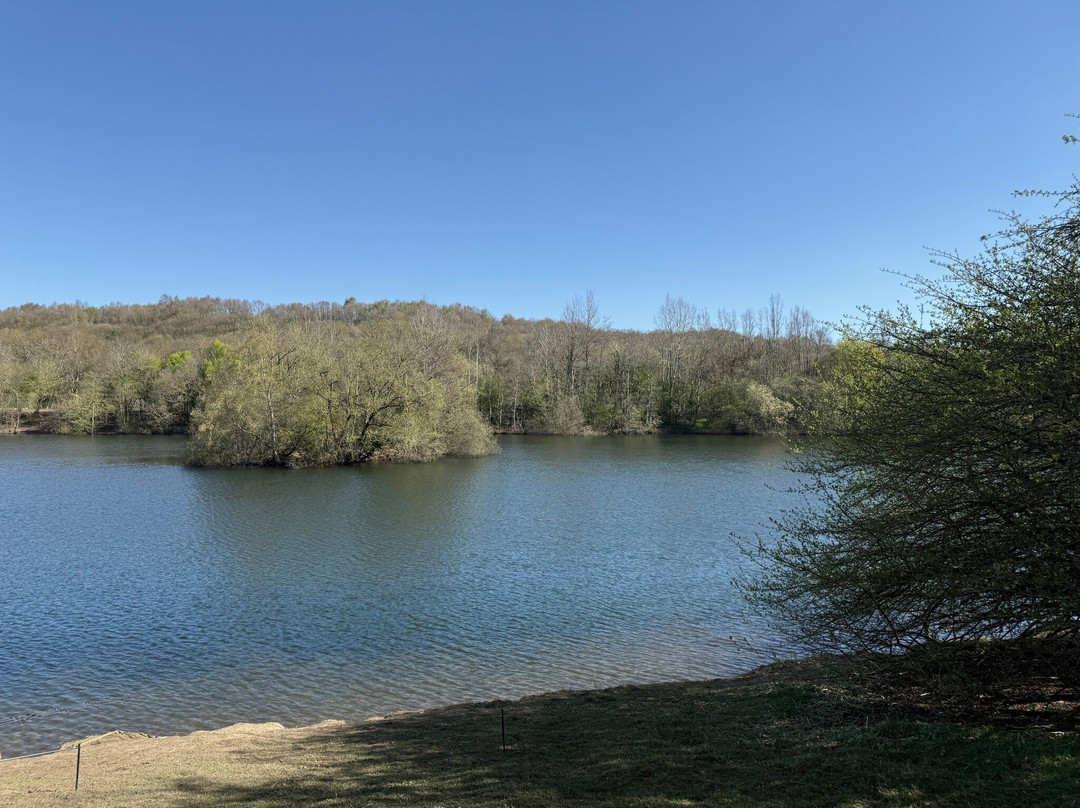 Clifton Country Park-Clifton必去景点