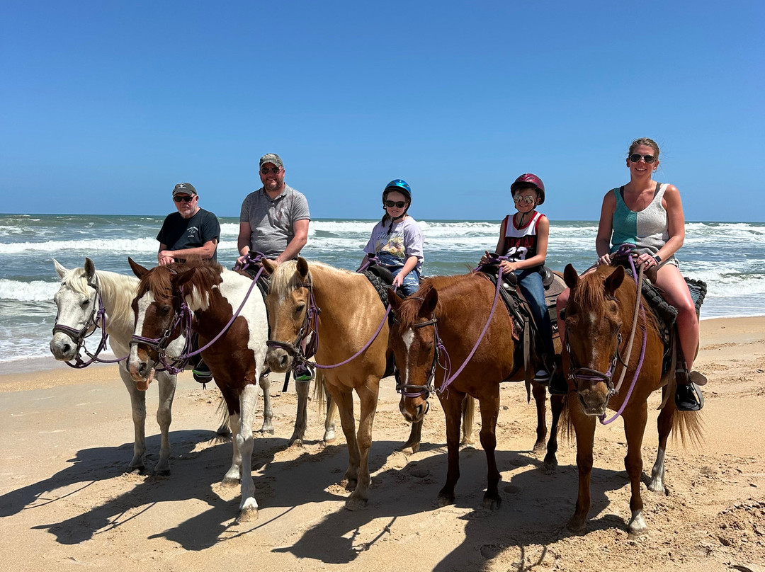 Equestrian Adventures of Florida景点图片